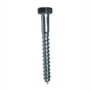 Lag Screw/Bolt